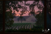 Arbor-Oaks-Vineyard-Paso-Robles-California