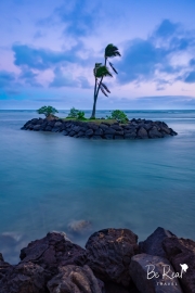 Kahala-Island-Kahala-Resort-Oahu-Hawaii