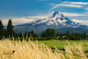 Mount-Hood-Oregon