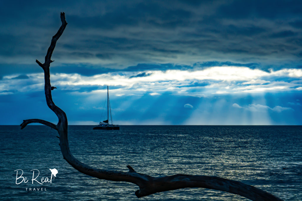 As sun rays beam down from the clouds, a tree branch frames a sailboat on the ocean