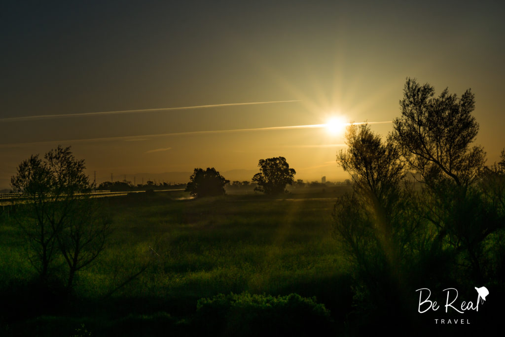 View that I enjoy from my super commute - The sun rises over a verdant Yolo Bypass Reserve in Davis, California